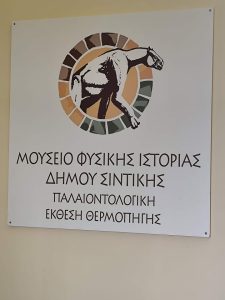 Εκπαιδευτική δράση στο Μουσείο Παλαιοντολογίας στη Θερμοπηγή Σερρών - 640076848 1429022152056539 949082597402781226 n