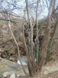 Εκπαιδευτική δράση στο Μουσείο Παλαιοντολογίας στη Θερμοπηγή Σερρών - 640387119 2118698288965385 1683222159621452779 n