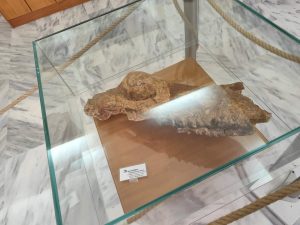 Εκπαιδευτική δράση στο Μουσείο Παλαιοντολογίας στη Θερμοπηγή Σερρών 7 Εκπαιδευτική δράση στο Μουσείο Παλαιοντολογίας στη Θερμοπηγή Σερρών - 641758587 1255514485999467 6884993787704271108 n